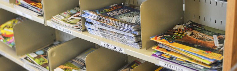 Children's magazines on a shelf