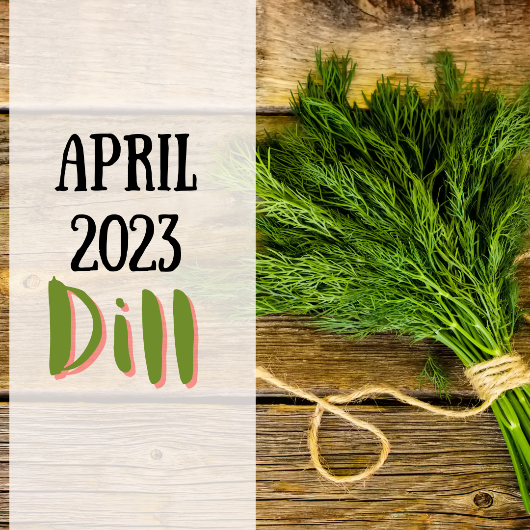 April 2023 spice club is dill