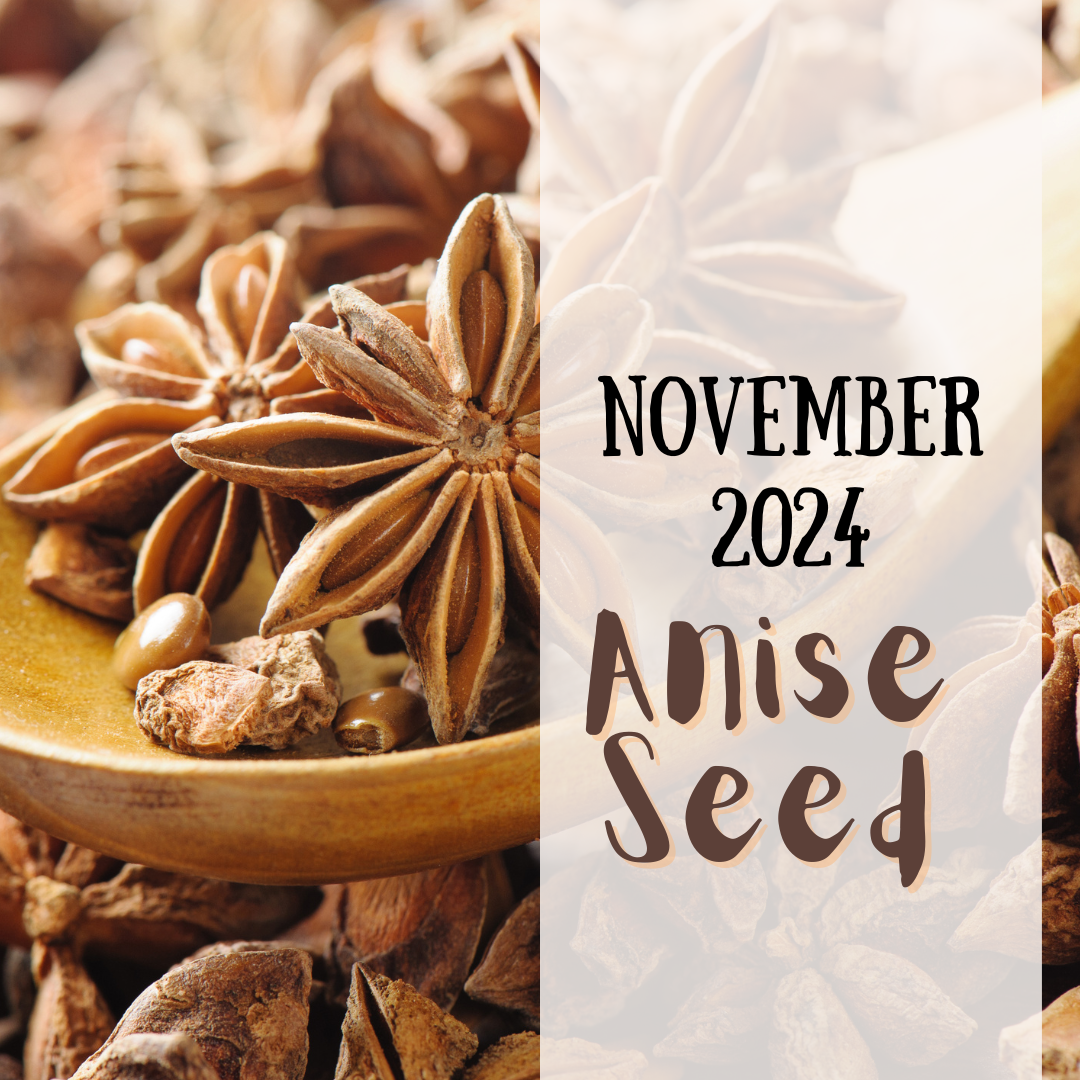 November 2024 spice club is Anise seed