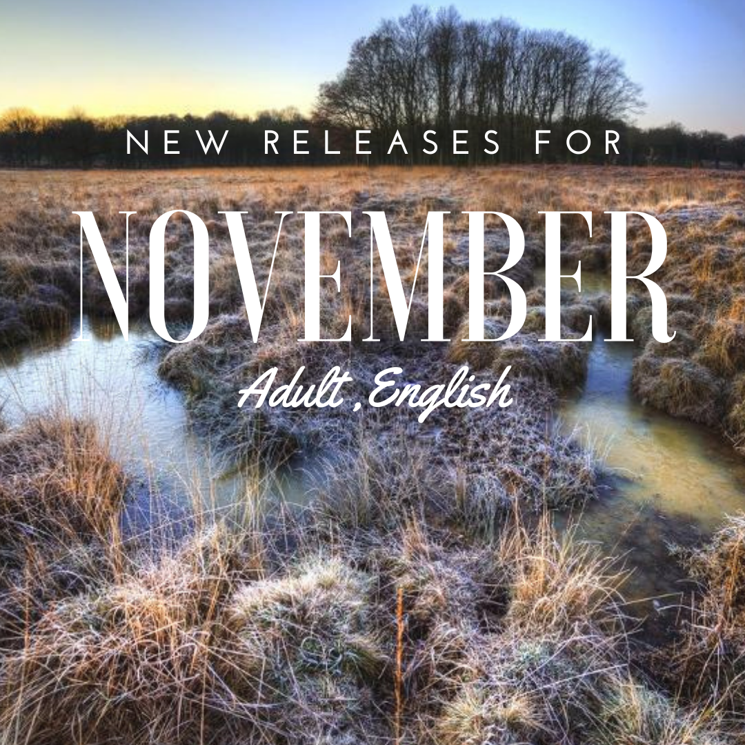 New Adult/Teen Materials November 2025