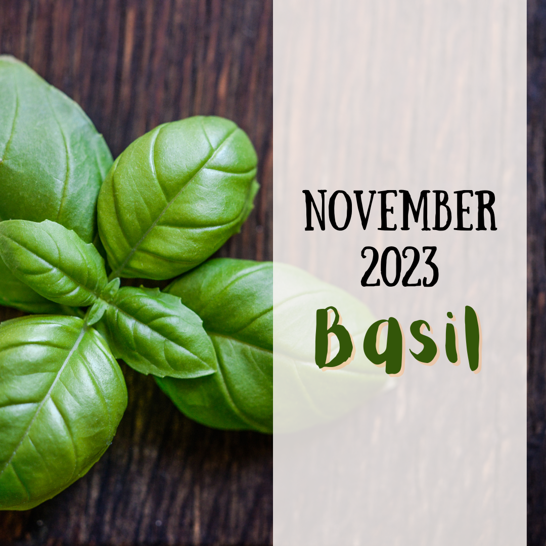 November 2023 spice club is basil