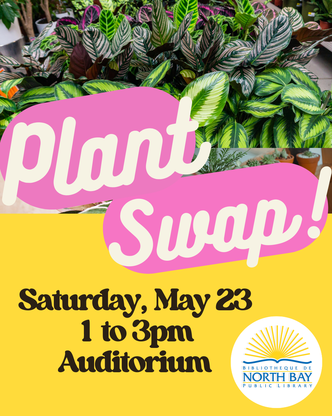 Plant Swap!