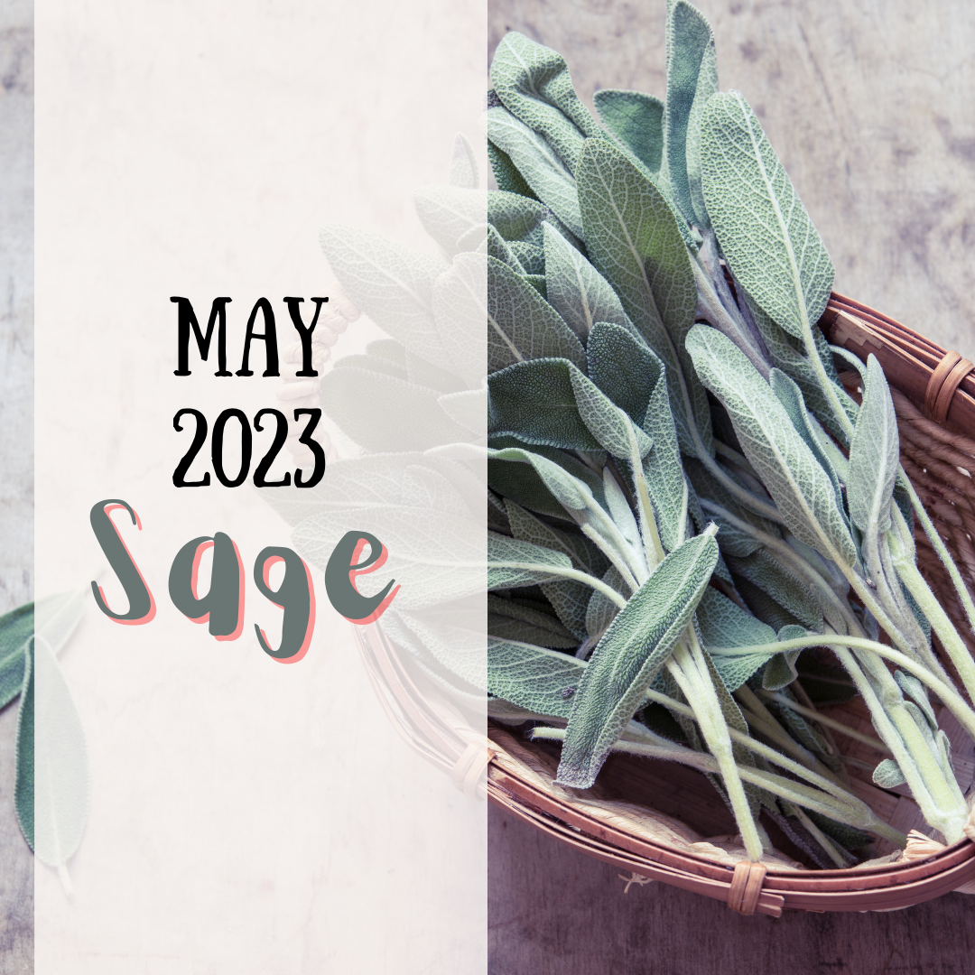 May 2023 spice club is sage