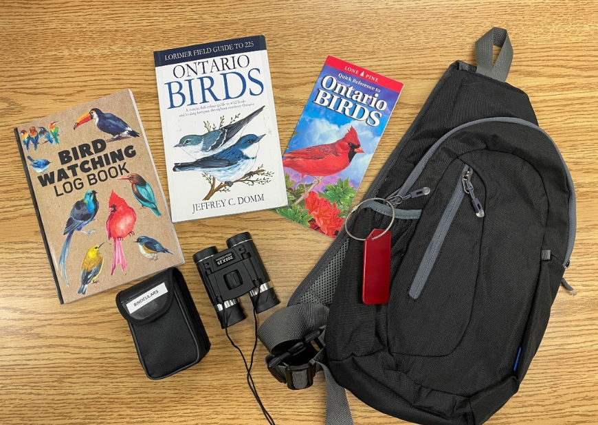 Birdwatching Kit
