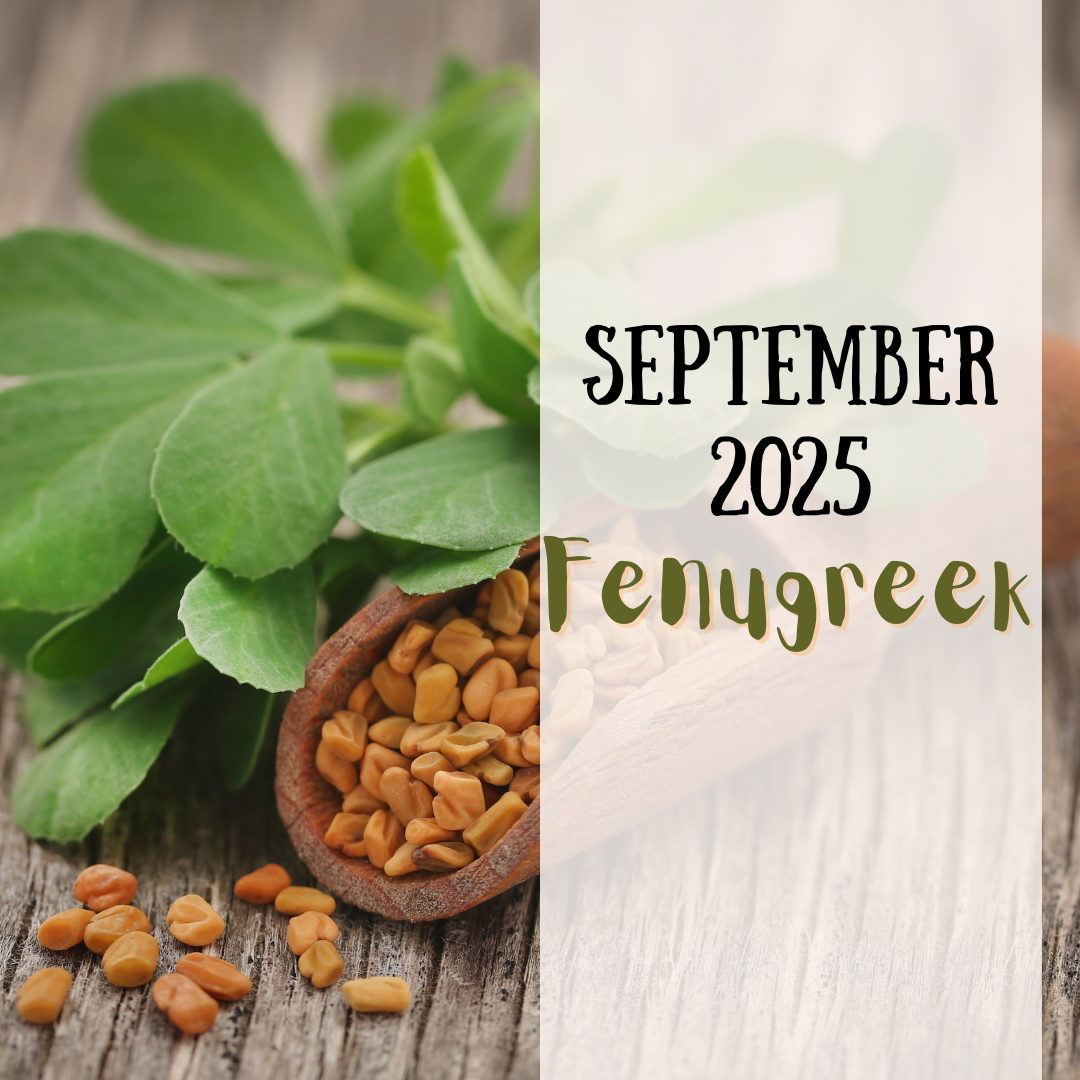 Spice Club September 2025