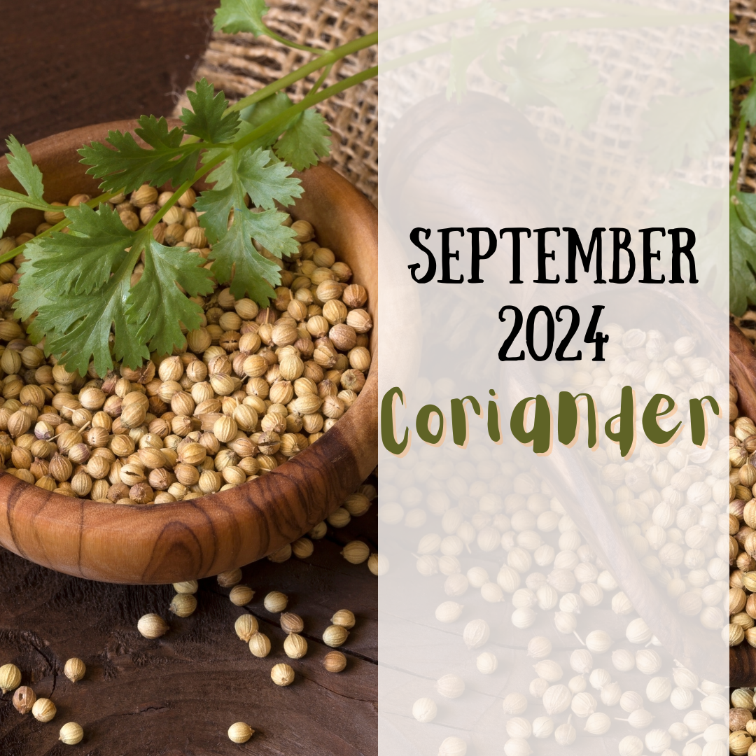 September 2024 Spice Club is coriander